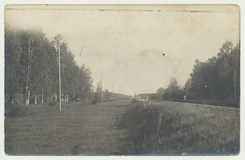 foto, Eesti?, raudtee ümbrus, u 1919, foto Tamm