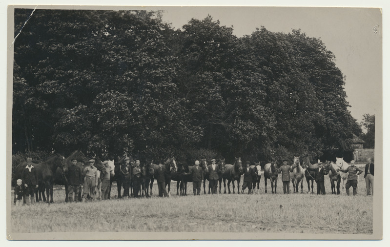 foto, Virumaa, Udriku mõis, Vabadusristi kavaleride kodu, mehed hobustega, u 1938