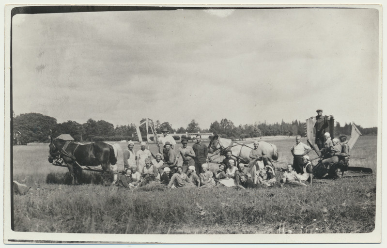 foto, Virumaa, Udriku mõis, Vabadusristi kavaleride kodu, viljakoristus, u 1938