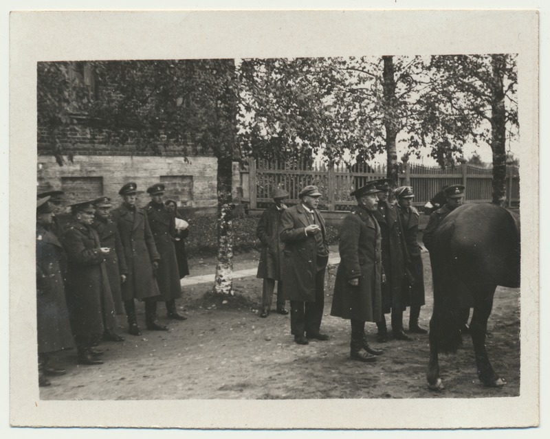 foto, Narva, sõjaväele remonthobuste ostmine, 1934