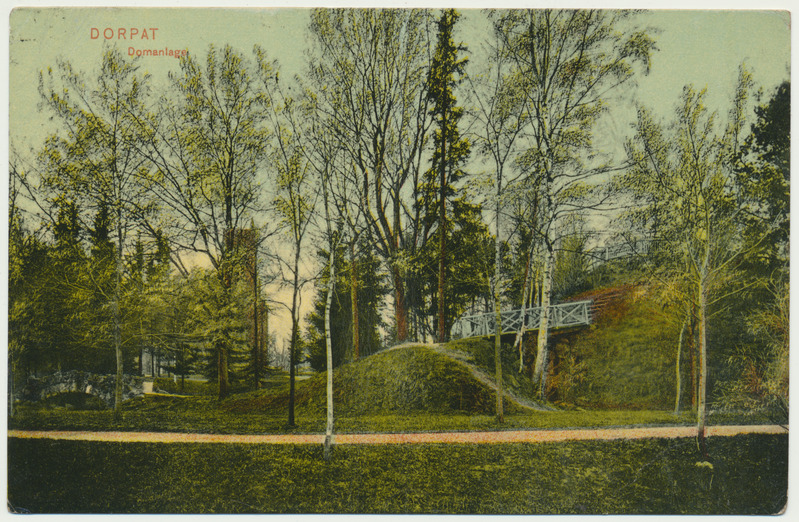 värviline trükipostkaart, Tartu, Toomemägi, u 1910, kirjastaja V.J. Solba