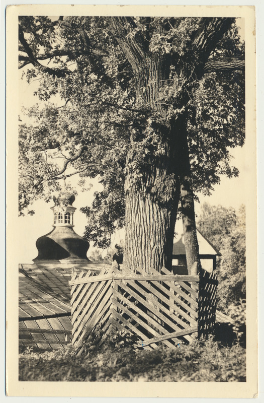 fotopostkaart, Petseri, klooster, Püha tamm, u 1930, foto J. Triefeldt