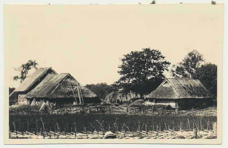 fotopostkaart, Saaremaa, talu hooned, u 1930, foto V. Suraš