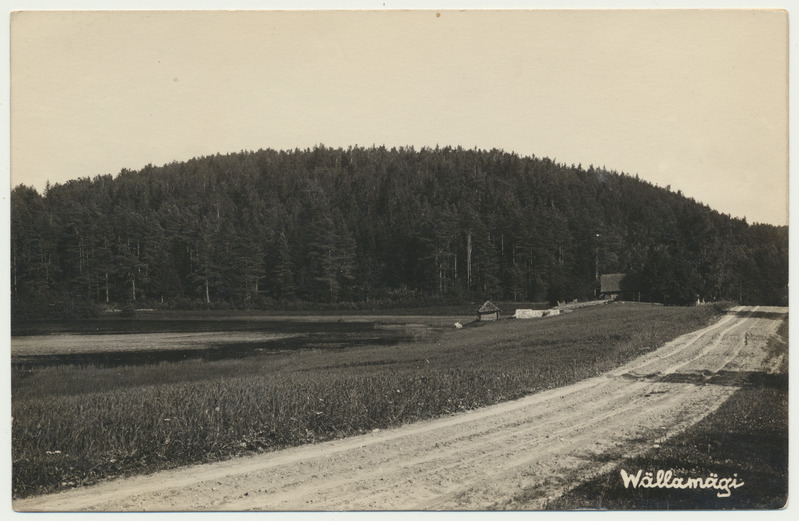 fotopostkaart, Võrumaa, Vällamägi, u 1930