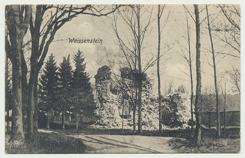 trükipostkaart, Paide (Weissenstein), lossivaremed, u 1905