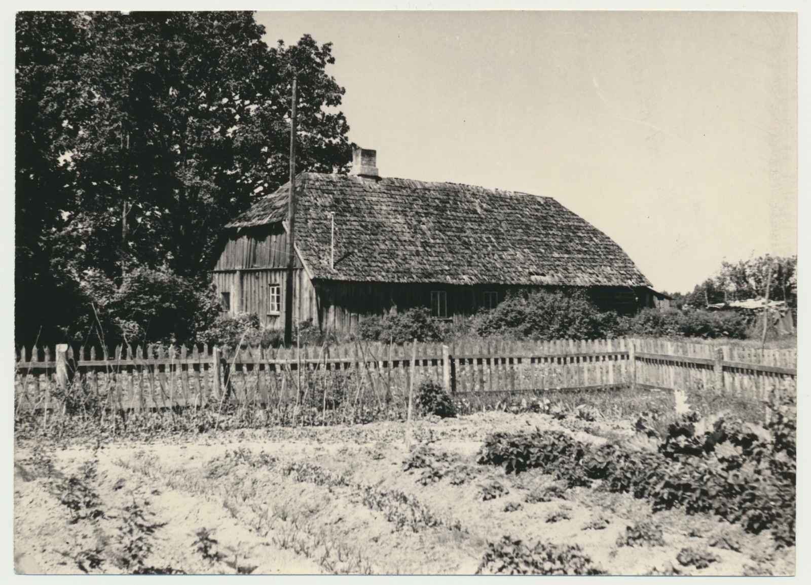 foto, Viljandimaa, Meleski, 1965