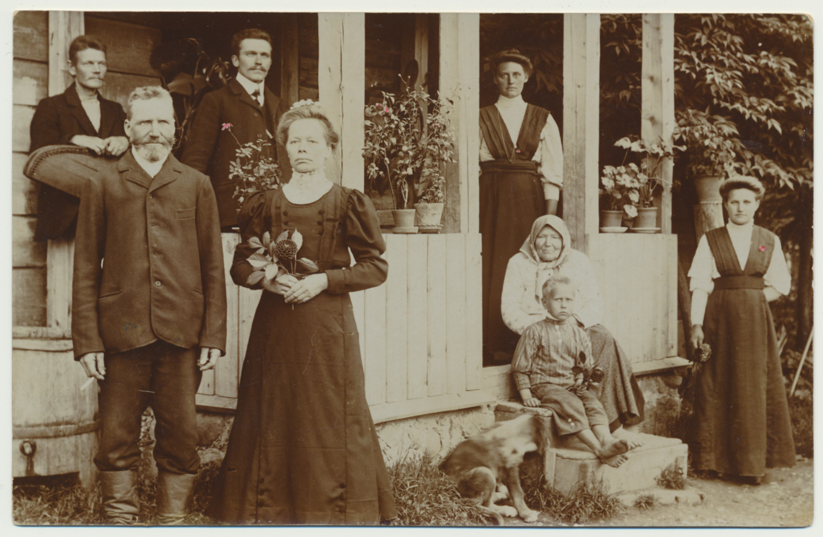 foto, Märt ja Epp Raudsepp, kuldpulmad, 1915, Holstre, Allaste talu