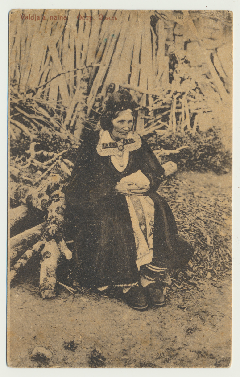 trükipostkaart, rahvariided, Valdjala, naine, 1895, foto E. Allas