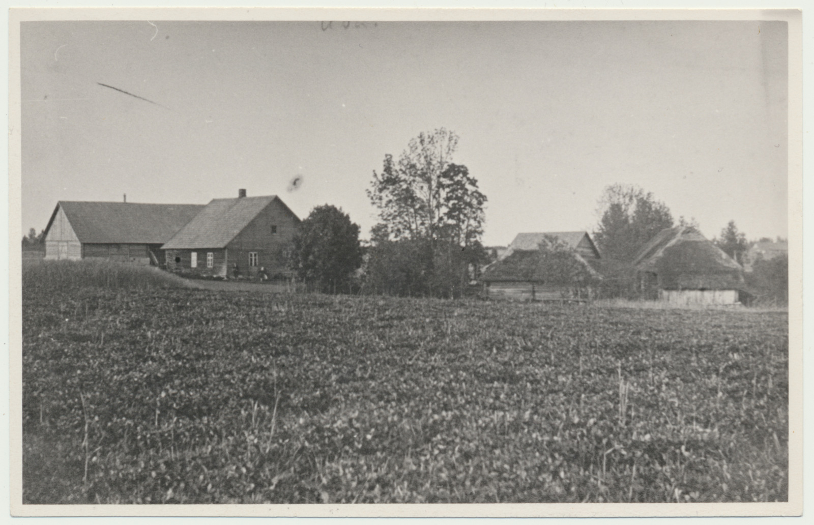 fotokoopia, Viljandimaa, Holstre vald, Raasilla küla, talu, u 1922