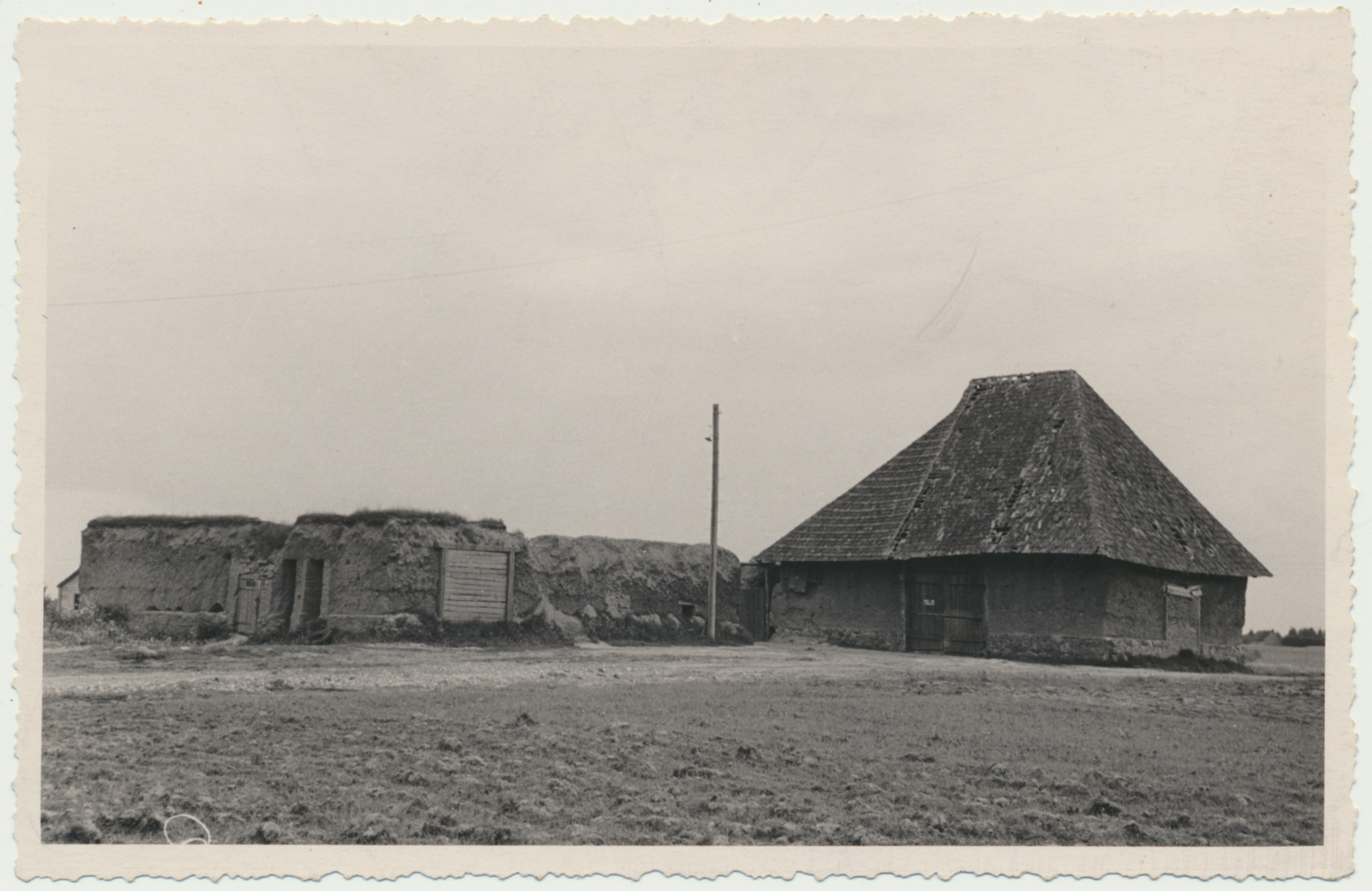foto, Viljandimaa, Tarvastu mõisa rehi, 1956, foto L. Vellema