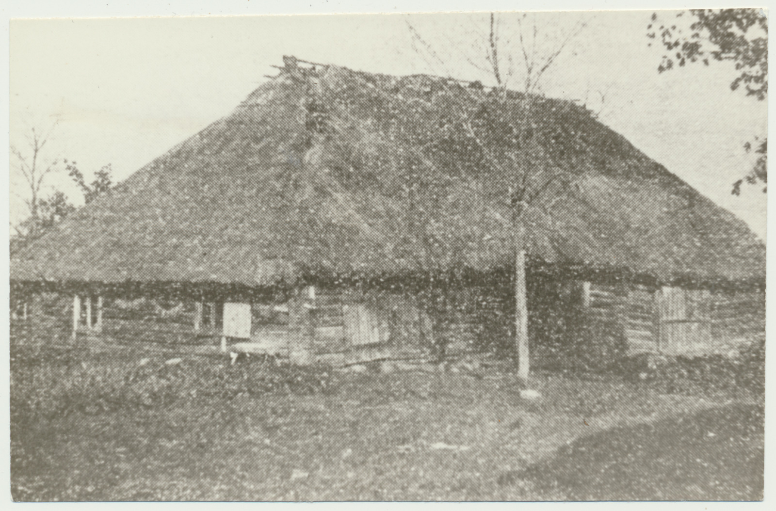 fotokoopia, Viljandimaa, Vastemõisa vald, Kõõbra talu, u 1920
