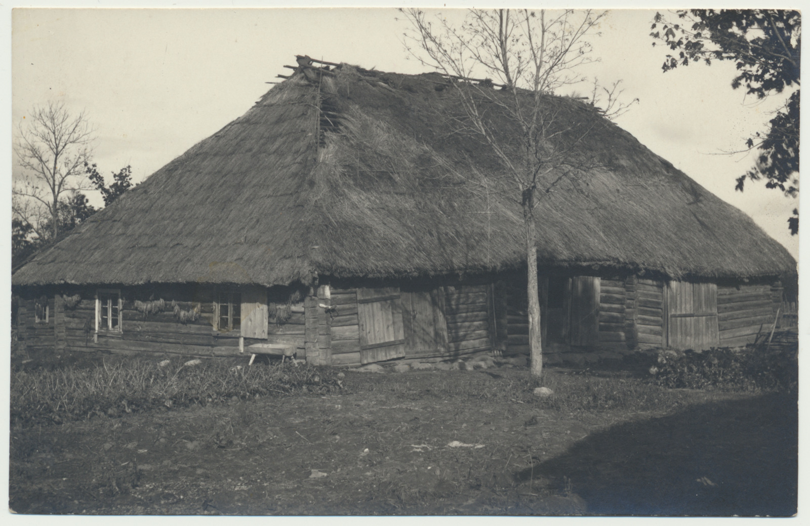 foto, Viljandimaa, Vastemõisa vald, Kõõbra talu, elamu, u 1920, foto H. Kuhlbusch