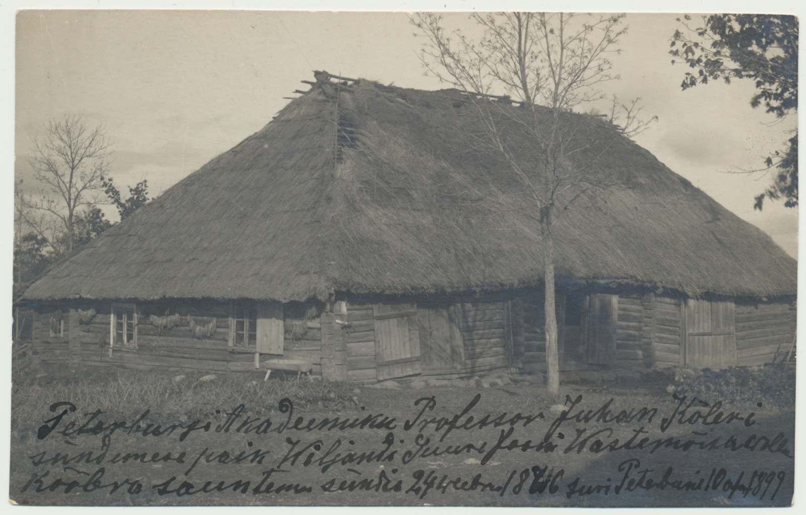foto, Viljandimaa, Vastemõisa vald, Kõõbra talu, elamu, u 1920, foto H. Kuhlbusch
