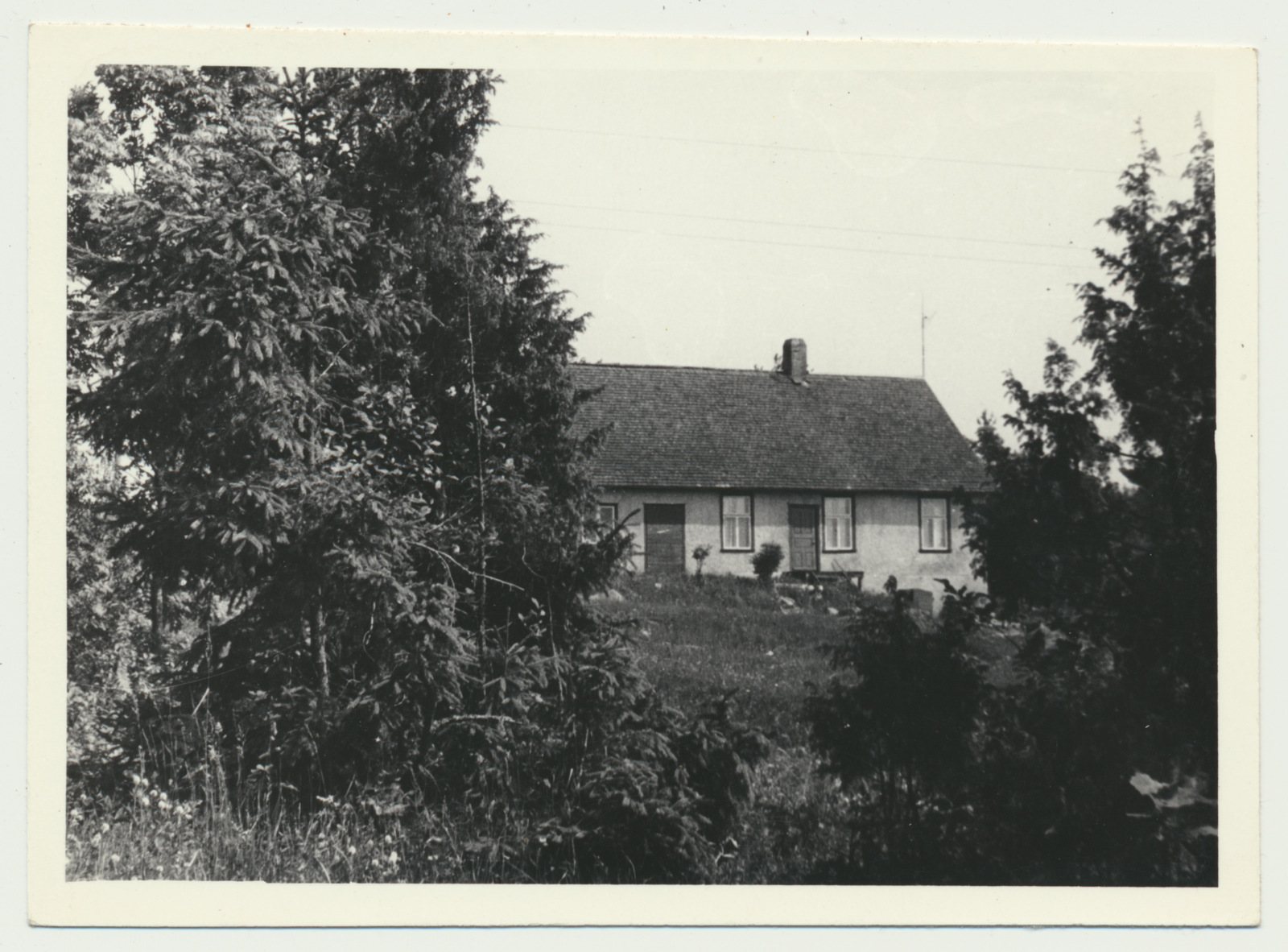 foto, Viljandimaa, Päri küla, Kannikmäe talu, u 1960