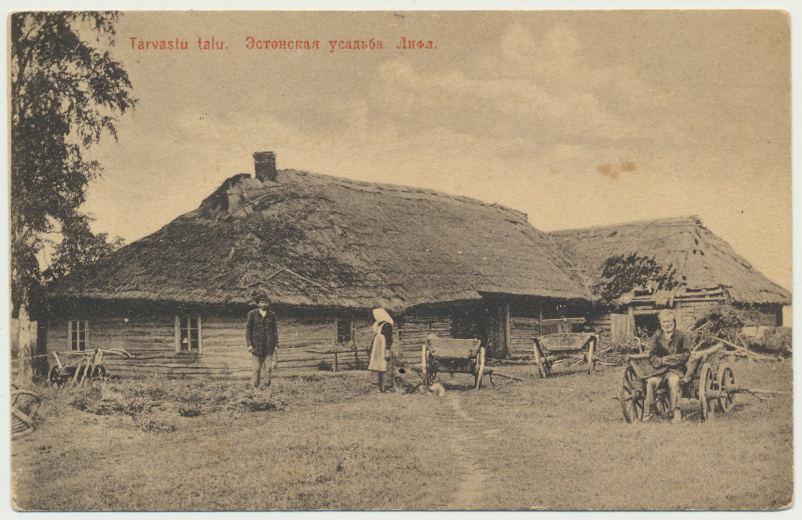 foto, Viljandimaa, Tarvastu, talu, 1912, foto J. Pääsuke