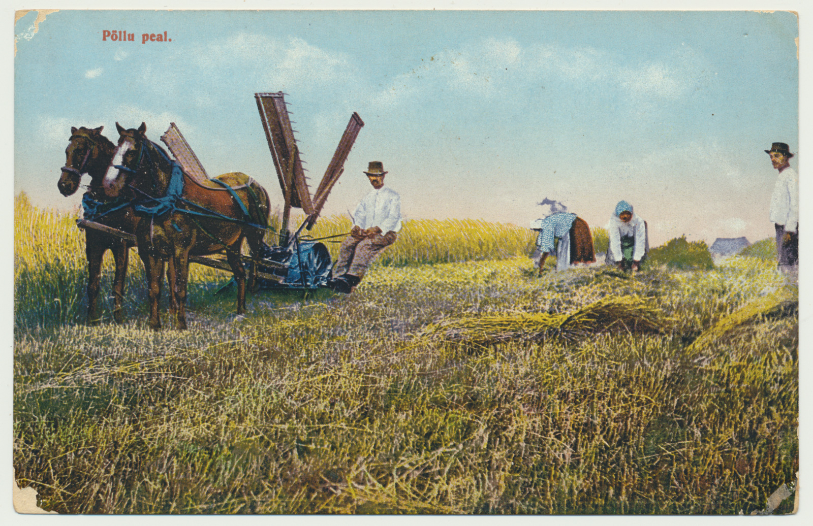 koloreeritud trükipostkaart, viljalõikus, 2 hobust, u 1910