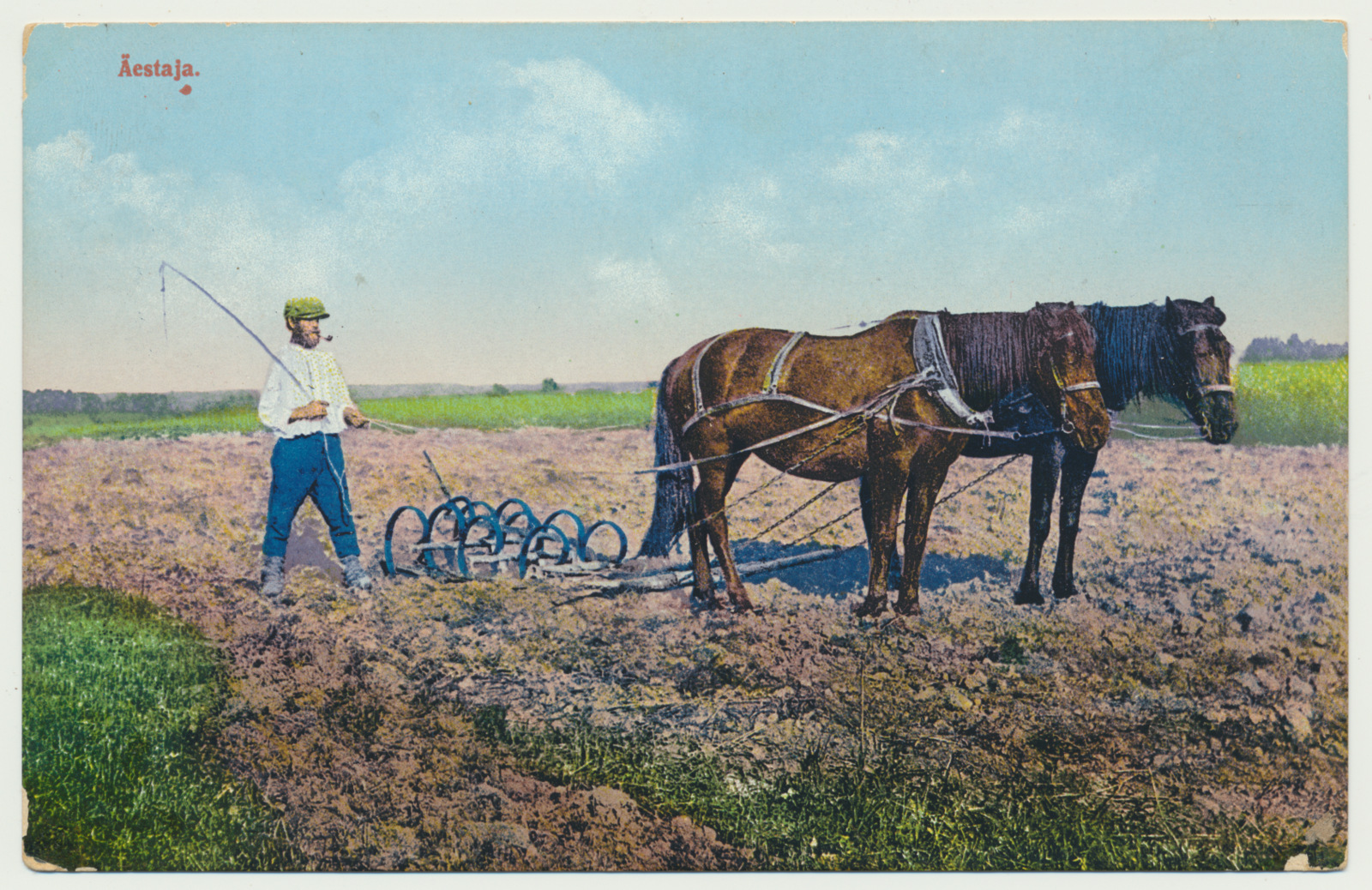 koloreeritud trükipostkaart, äestamine, 2 hobust, u 1910