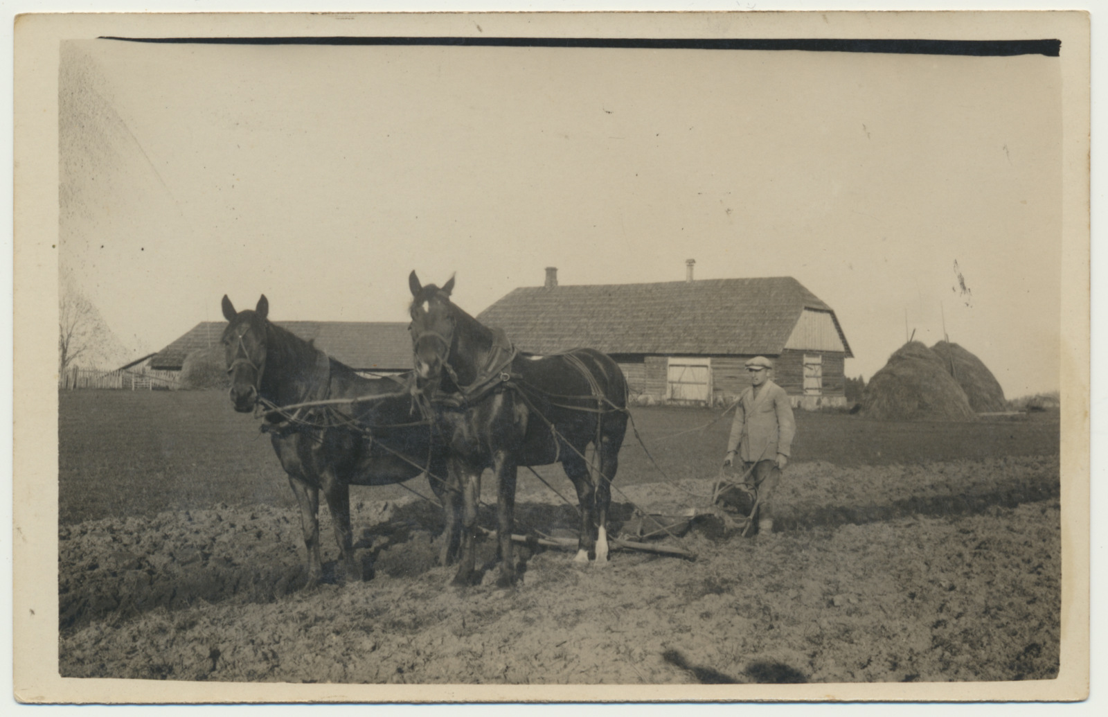 foto, Viljandimaa, Kärstna vald, Veski talu, kahe hobusega künd, u 1932