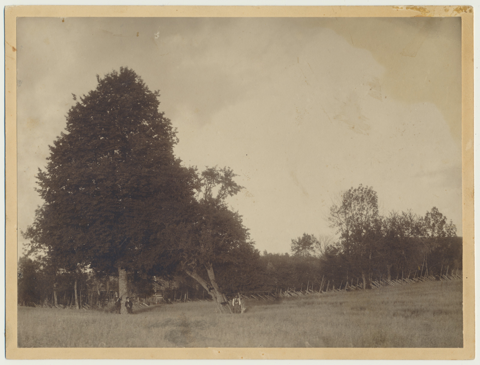 foto, Viljandimaa, Suure-Kõpu vald, Junsi talu, heinamaa, 1908, foto J. Isutamm?