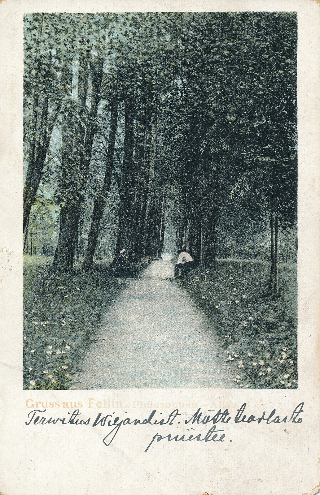 trükipostkaart, Viljandi, Filosoofi pst, u 1905, koloreeritud
