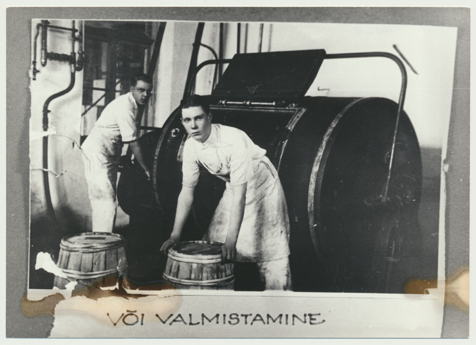 fotokoopia, Viljandi Piimaühingu meierei, või valmistamine, 1931