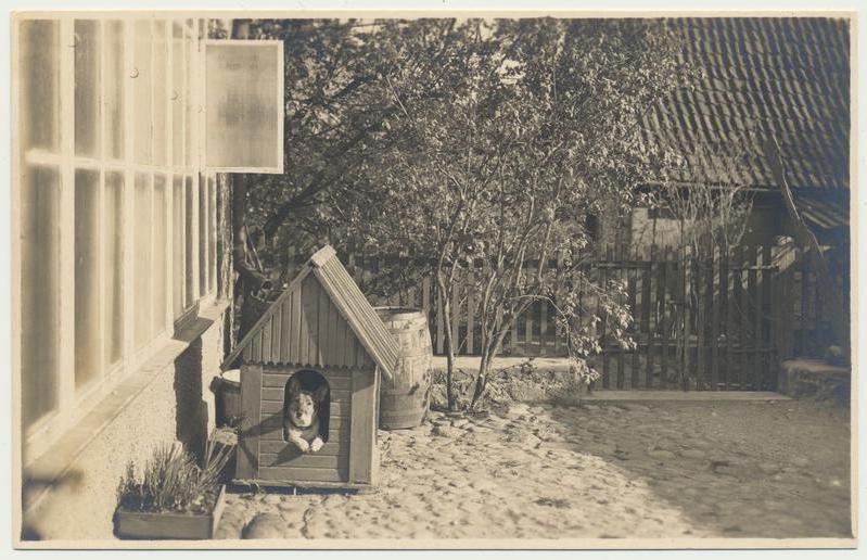 foto, perekond Rieti maja õu, koer, kuut, u 1925