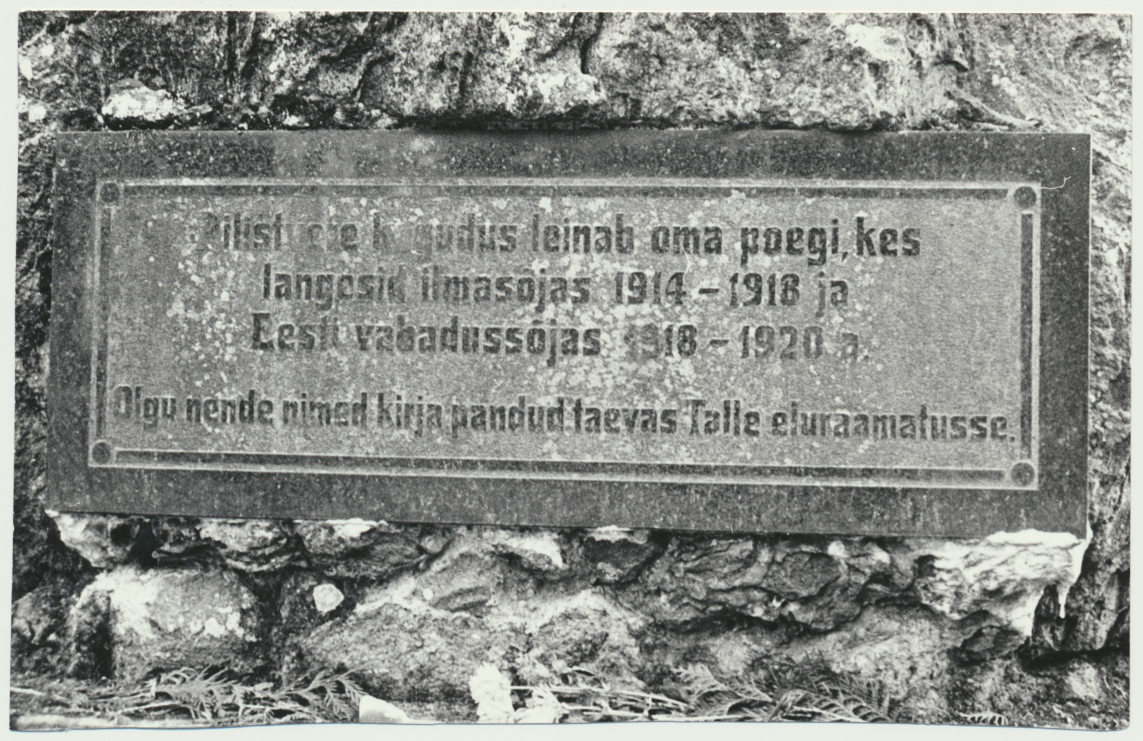 foto, Viljandimaa, Pilistvere, Vabadussõjas langenute mälestusrist, plaat, 1991, foto E. Veliste