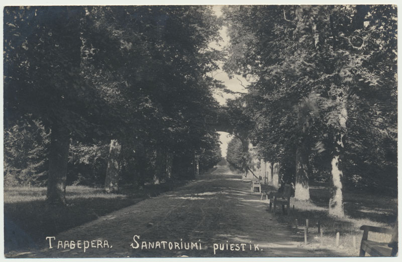 foto, Viljandi kultuurimaja, nukunäitus, 1981, foto E. Veliste