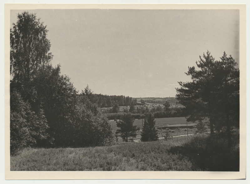 foto, Viljandimaa, vaade Varesemägedest Viljandi ürgorule, 1960, foto A. Kiisla