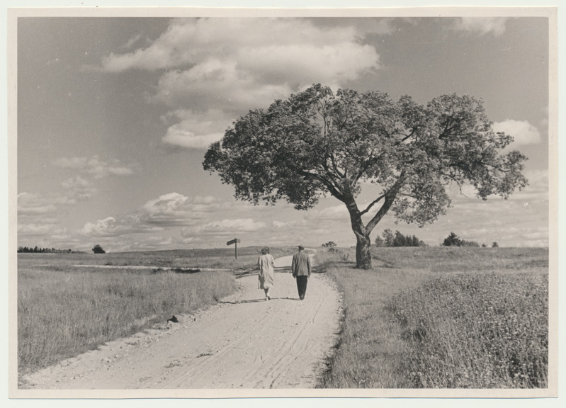 foto, Viljandimaa, Holstre-Pirmaste maastik, u 1960, foto A. Kiisla