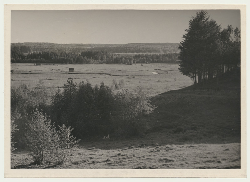 foto, Viljandimaa, Heimtali org, u 1960, foto A. Kiisla