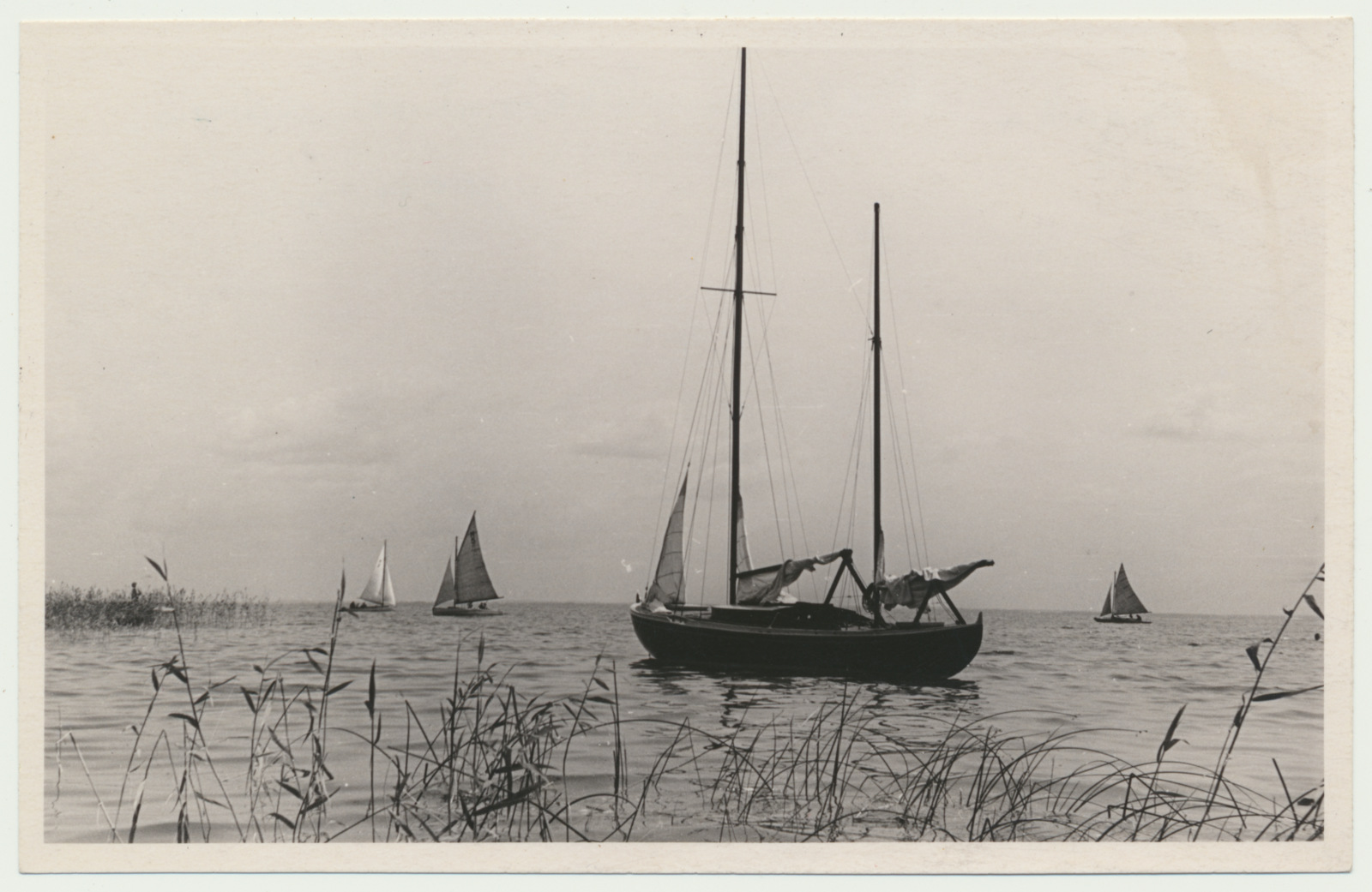 foto, Viljandi, Valma, Võrtsjärve regatt, 1959