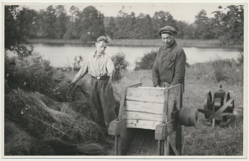 foto, Viljandi vald, kolhoos Uus Tee, linakupardamise masin, 2 meest 1950