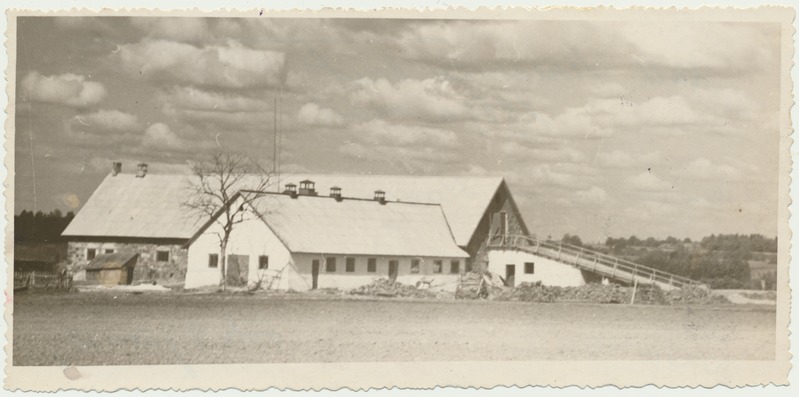 foto, Viljandimaa, Sinialliku kolhoos'i karjalaut 1959, foto A. Järvekülg