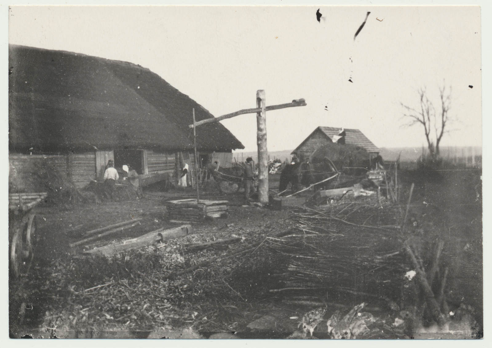 foto, Viljandimaa, Päri vald, Taski talu, rehepeks, hobune, u 1907