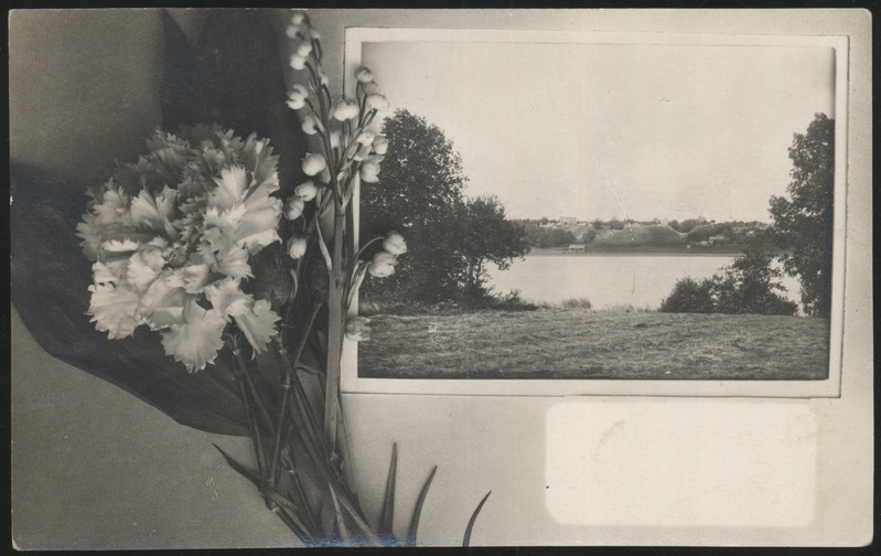 fotopostkaart, õnnesoovikaart, Viljandi, nelgid, piibelehed, Viljandi järv, linn, u 1920, kirjastaja H. Leoke (Wiljandi)