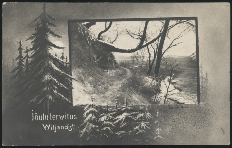 fotopostkaart, jõulud, Viljandi, kuused, Valuoja org, u 1915, foto J. Christin (Narva)
