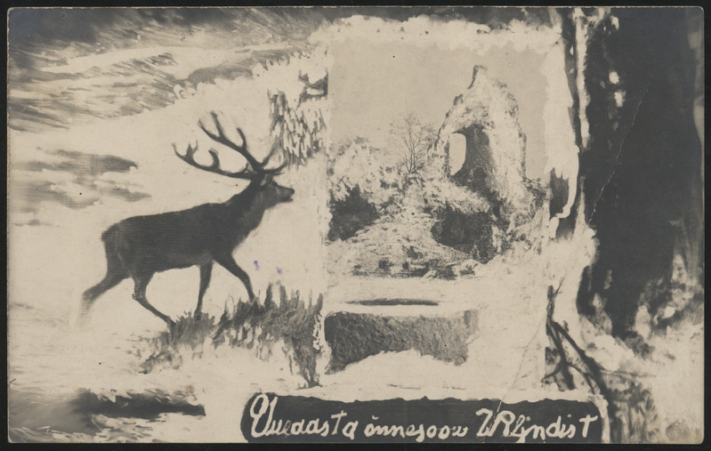 fotopostkaart, uusaastakaart, Viljandi, hirv, Mungamüür fotol, u 1922