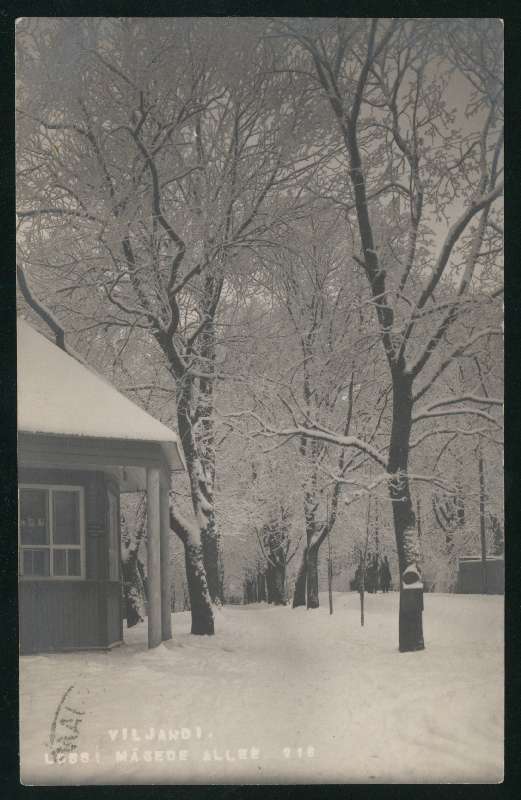 foto, Viljandi, Kiriku allee (1934-st Tasuja pst), u 1925, foto J. Riet