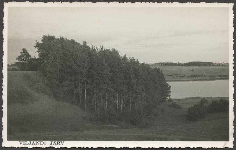 fotopostkaart,  Viljandi, Männimäe nõlv, järv, u 1935
