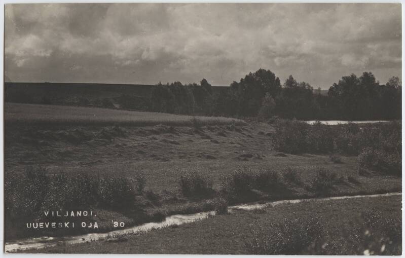 fotopostkaart, Viljandi, Uueveski org ja oja, u 1910, foto J. Riet