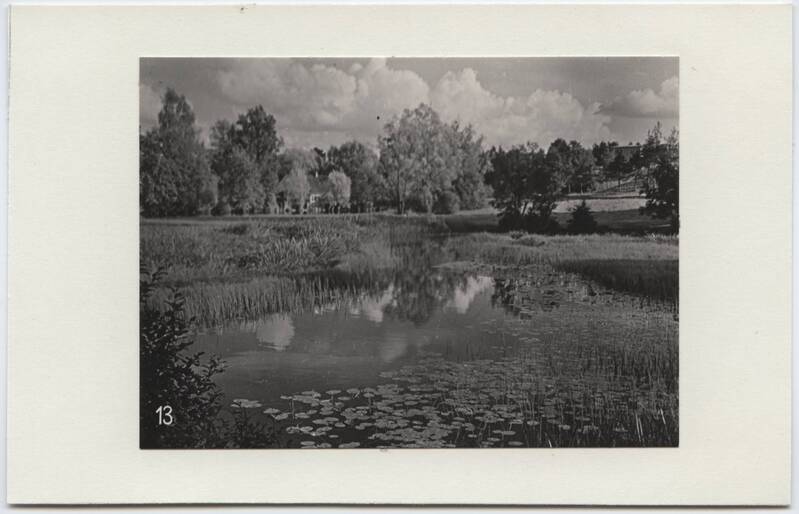 foto, Viljandi, Uueveski järv, u 1960