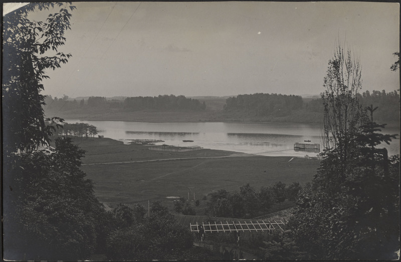 fotopostkaart, Viljandi, järv Trepimäe poolt, u 1915