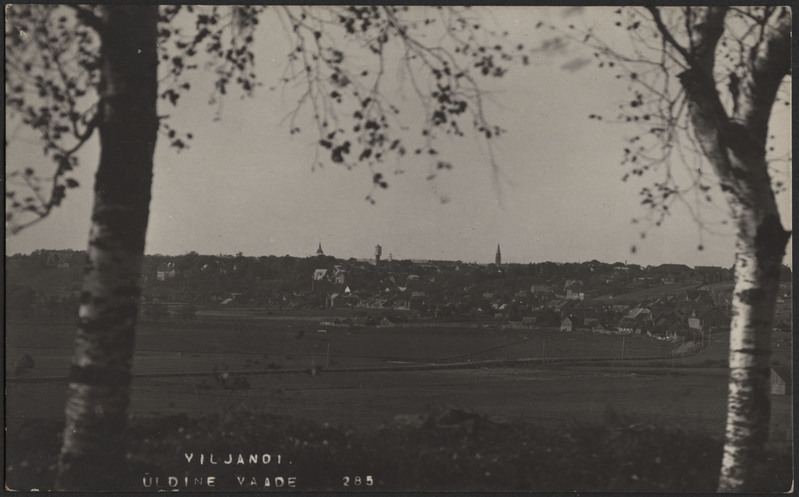 fotopostkaart, Viljandi, linn Tartu mnt poolt, u 1915, foto J. Riet