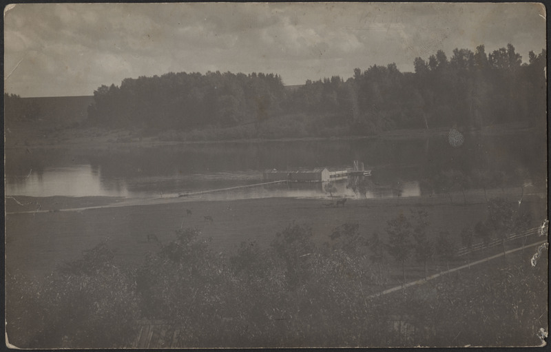 fotopostkaart, Viljandi järv, supelusemaja, ümbrus, karjamaa, u 1915