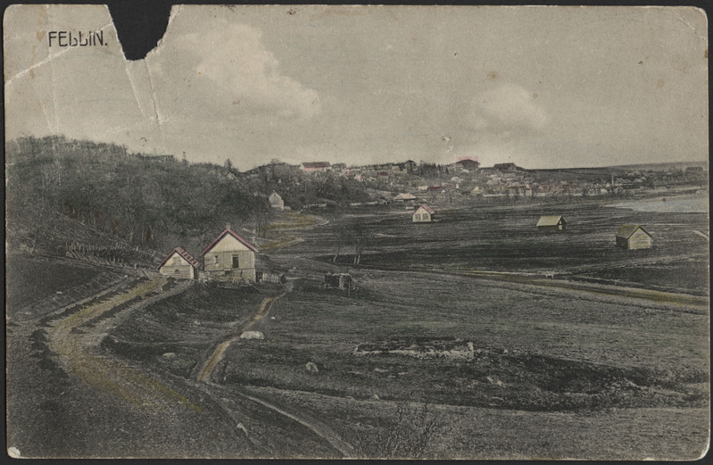 trükipostkaart, Viljandi, järvevahi maja, heinamaa, linna elamud, Männimäe poolt, u 1910