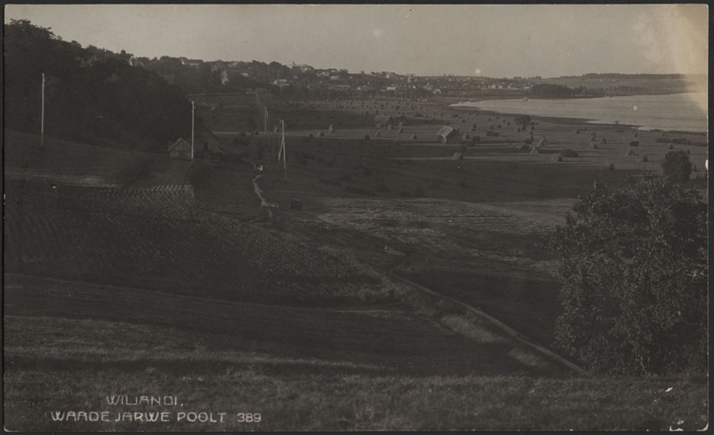 fotopostkaart, Viljandi, järveäärne heinamaa, rõugud, järv, elamud mäeveerul, Männimäe poolt, u 1925, foto J. Riet