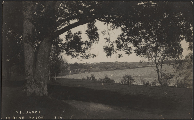 fotopostkaart, Viljandi, järv, heinamaa, elamud mäeveerul, u 1915, foto J. Riet