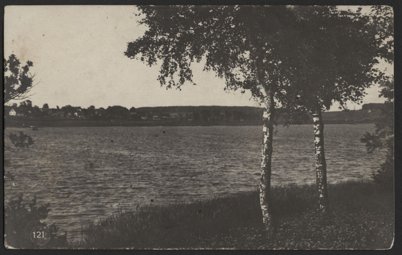fotopostkaart, Viljandi, järv, elamud mäeveerul, vastaskalda poolt, u 1915, foto J.Riet