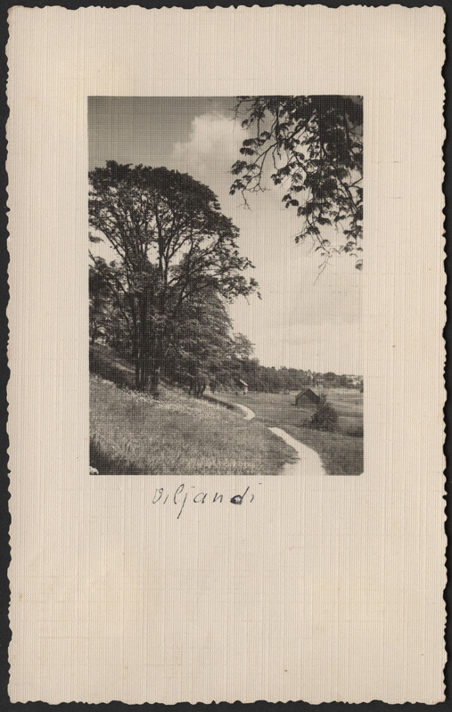 fotopostkaart, Viljandi, järveäärne heinamaa, elamud mäeveerel, u 1932
